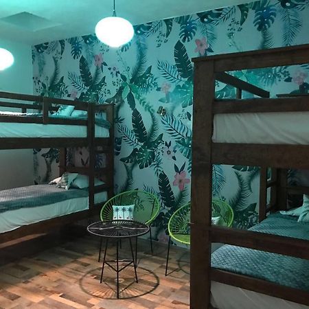 Hoja Santa Hostal Boutique Cholula Zewnętrze zdjęcie