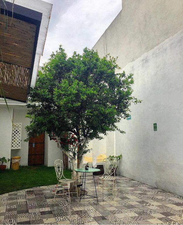 Hoja Santa Hostal Boutique Cholula Zewnętrze zdjęcie